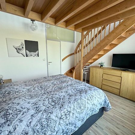 Miky Apartman Klinovec Garden Loučná pod Klínovcem 외부 사진