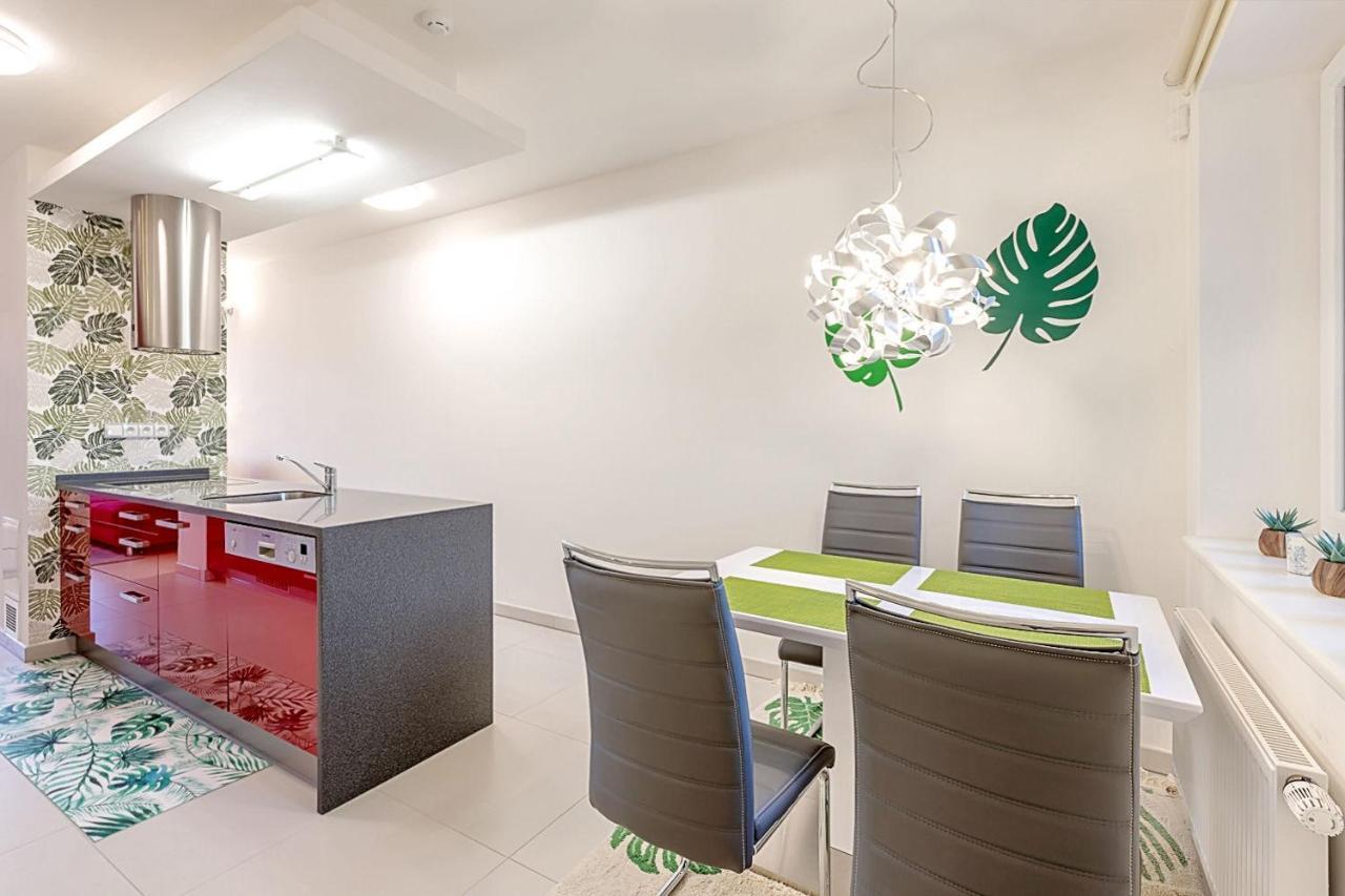 Miky Apartman Klinovec Garden Loučná pod Klínovcem 외부 사진